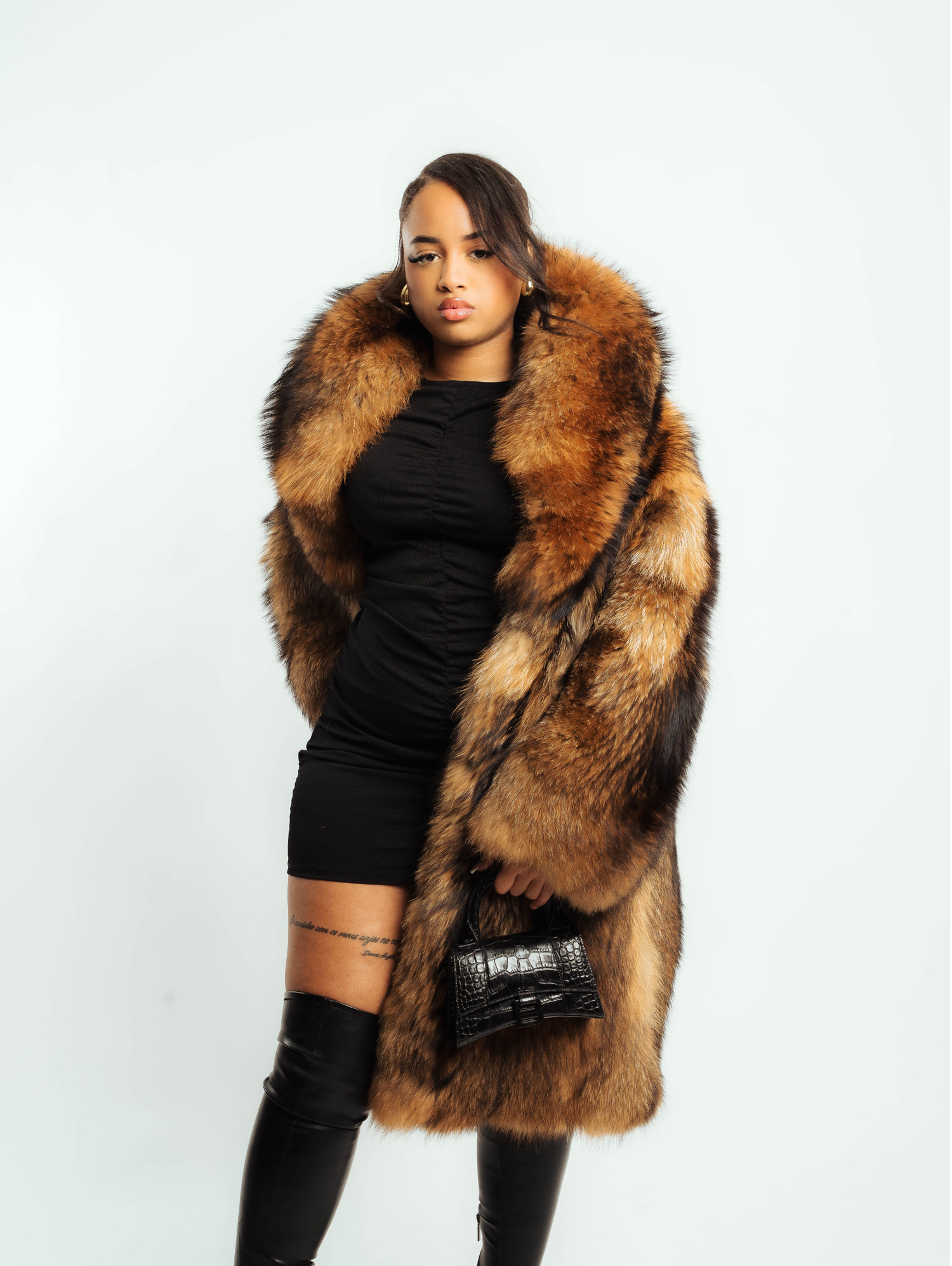 Fourrure Longue Lionne Sauvage (Raton Laveur)