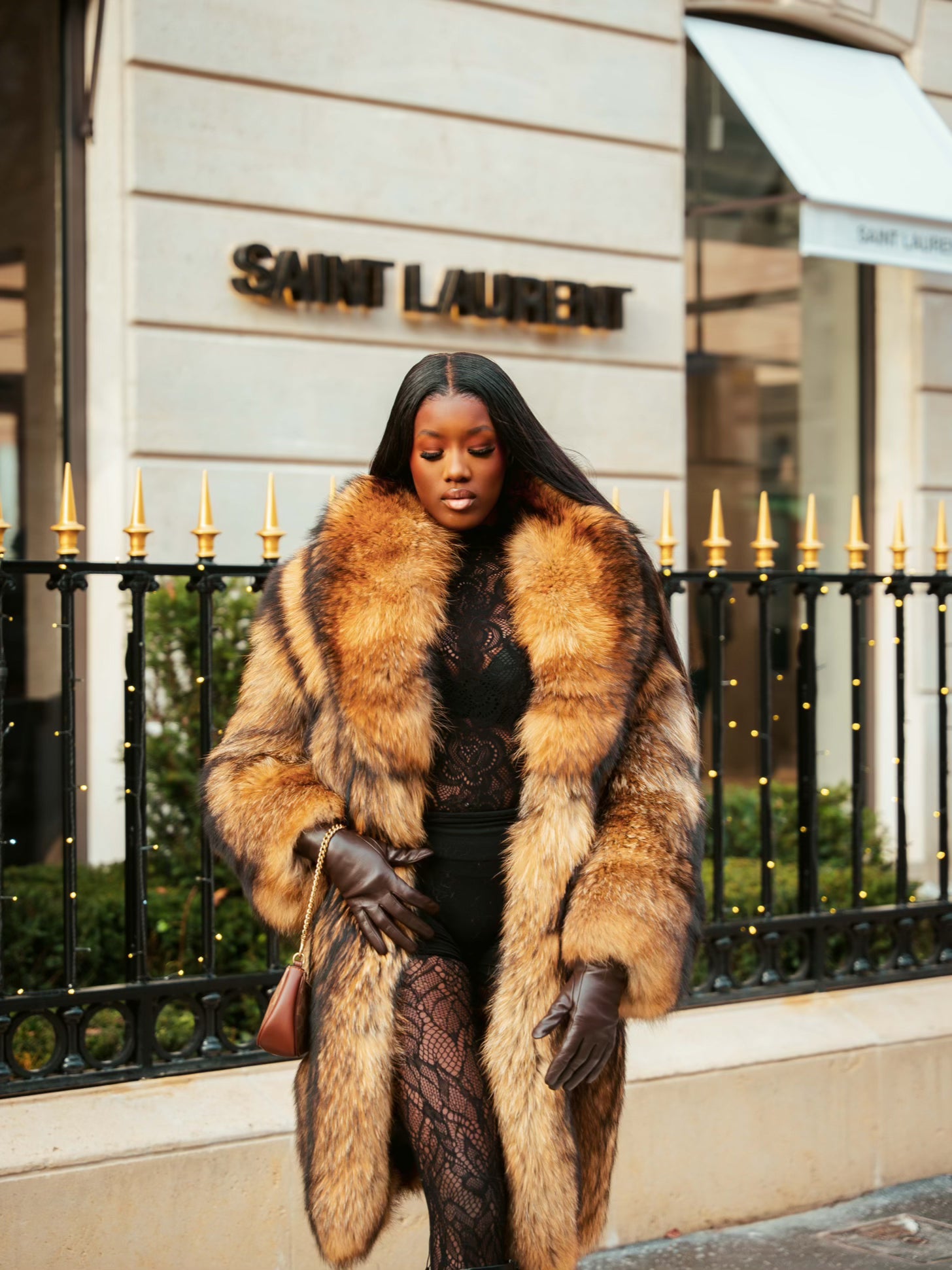 Fourrure Longue Lionne Sauvage