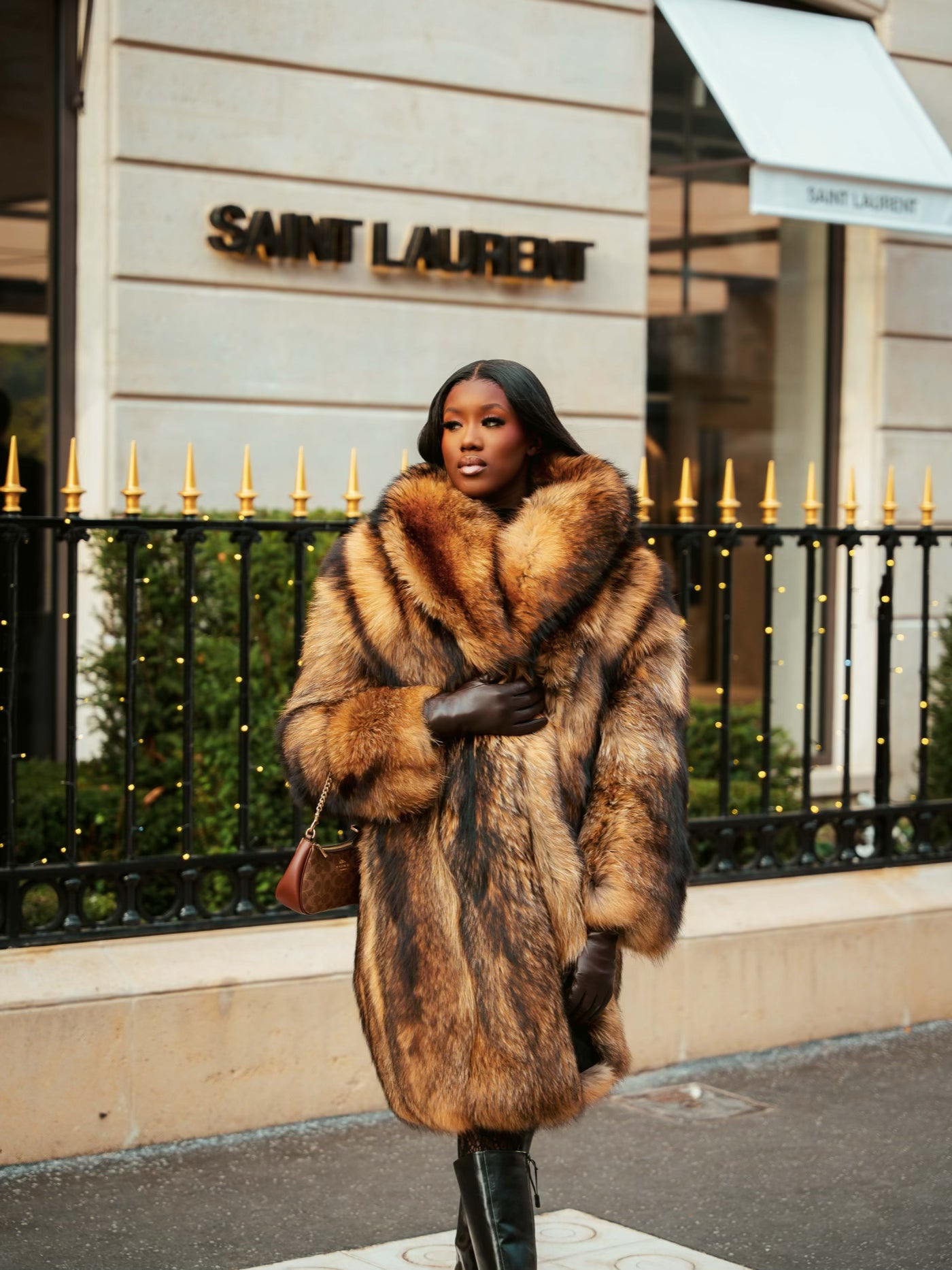 Fourrure Longue Lionne Sauvage